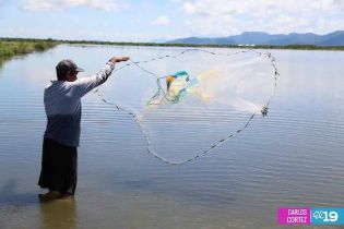 Camaronicultura en Nicaragua