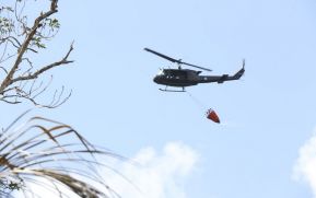 EN FOTOS: Ejército de Nicaragua trabaja para sofocar incendio en Indio Maíz