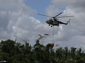 EN FOTOS: Ejército de Nicaragua trabaja para sofocar incendio en Indio Maíz