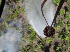 EN FOTOS: Ejército de Nicaragua trabaja para sofocar incendio en Indio Maíz