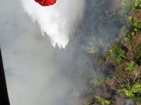 EN FOTOS: Ejército de Nicaragua trabaja para sofocar incendio en Indio Maíz