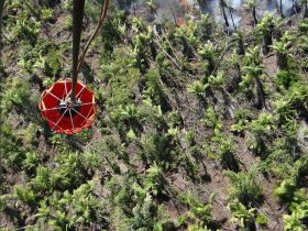 EN FOTOS: Ejército de Nicaragua trabaja para sofocar incendio en Indio Maíz