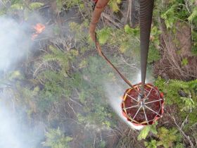 EN FOTOS: Ejército de Nicaragua trabaja para sofocar incendio en Indio Maíz