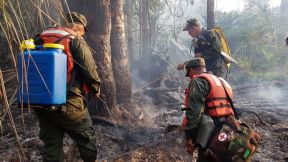 EN FOTOS: Ejército de Nicaragua trabaja para sofocar incendio en Indio Maíz