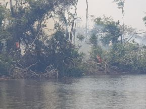 EN FOTOS: Ejército de Nicaragua trabaja para sofocar incendio en Indio Maíz