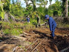 EN FOTOS: Ejército de Nicaragua trabaja para sofocar incendio en Indio Maíz