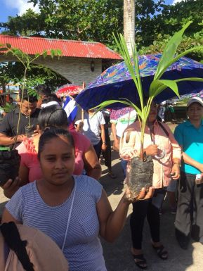 En #AMORANICARAGUA todos celebramos que #GanamosEnIndioMaíz