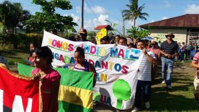 En #AMORANICARAGUA todos celebramos que #GanamosEnIndioMaíz