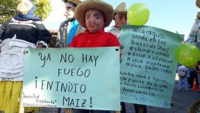 En #AMORANICARAGUA todos celebramos que #GanamosEnIndioMaíz