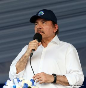 Miles claman por la Paz y la No Violencia