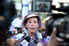 Miles claman por la Paz y la No Violencia