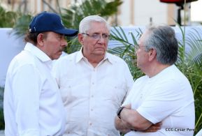 Miles claman por la Paz y la No Violencia