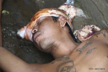 II Ejercicio Nacional de Preparación para la Protección de la Vida