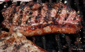 Primer Festival Gastronómico Internacional