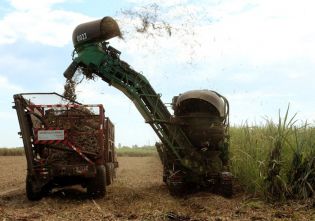 Vicepresidente Halleslevens destaca importancia de industria azucarera