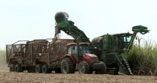 Vicepresidente Halleslevens destaca importancia de industria azucarera