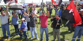 Capitalinos se movilizan por la Justicia, Paz y Vida