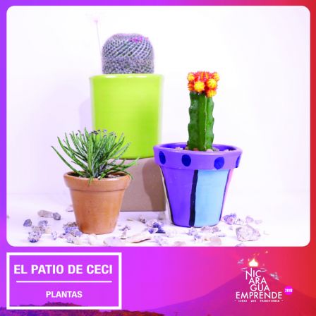 Segundo día de Nicaragua Emprende 