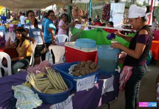Feria en honor a la Purísima Concepción de María