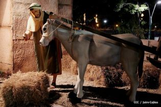 Compañera Rosario supervisa avances en instalación del Belén en Parque Luis Alfonso Velásquez
