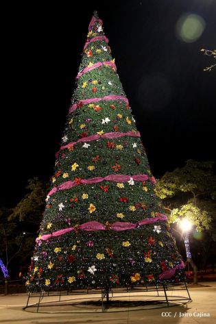 Compañera Rosario supervisa avances en instalación del Belén en Parque Luis Alfonso Velásquez