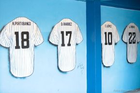 Campeonato de Béisbol Germán Pomares