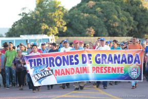 Campeonato de Béisbol Germán Pomares