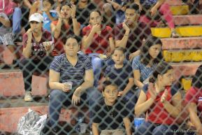 Campeonato de Béisbol Germán Pomares