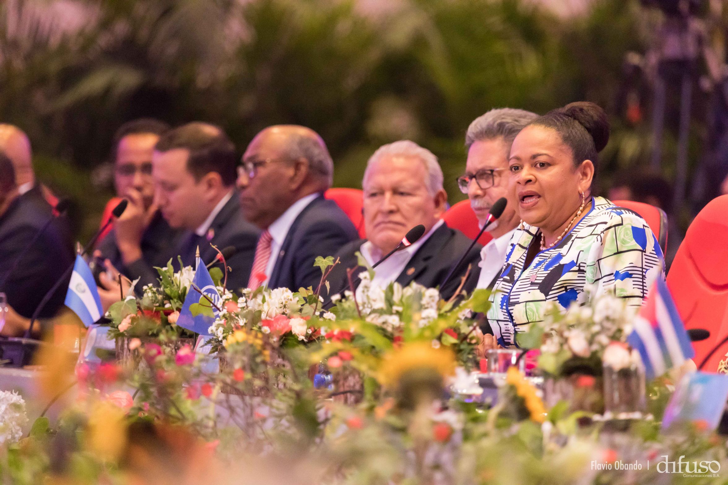 VIII Encuentro de los Jefes y Ministros de la Asociación de Estados del Caribe (AEC)