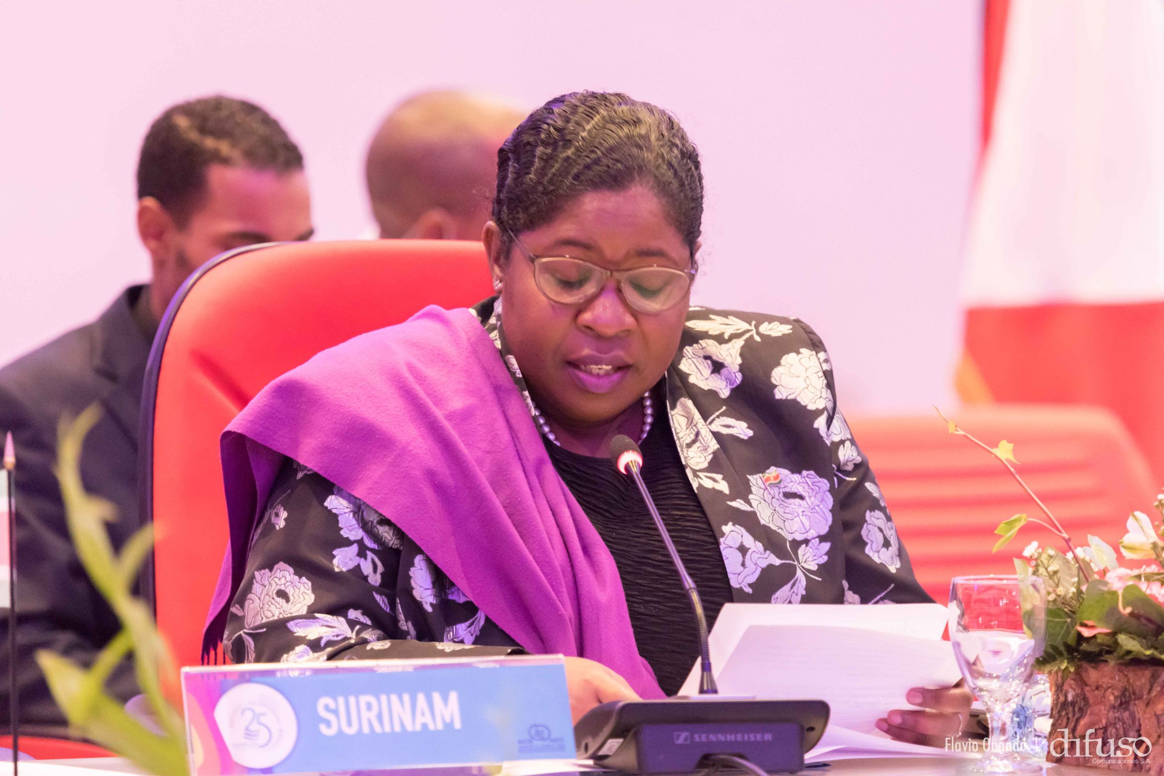 VIII Encuentro de los Jefes y Ministros de la Asociación de Estados del Caribe (AEC)