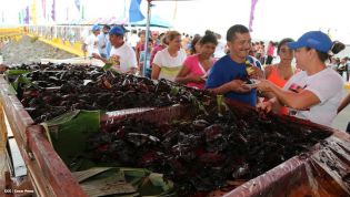 Miles asisten a la celebración de la Purísima Acuática
