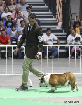 Exposición Canina Internacional de la ABKC en Nicaragua