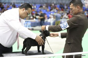 Exposición Canina Internacional de la ABKC en Nicaragua