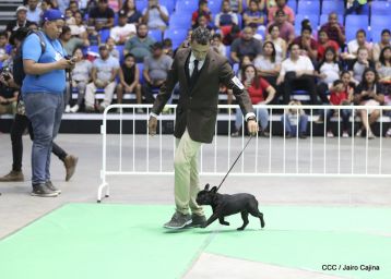 Exposición Canina Internacional de la ABKC en Nicaragua