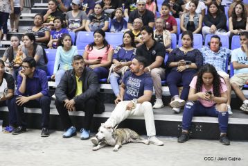 Exposición Canina Internacional de la ABKC en Nicaragua