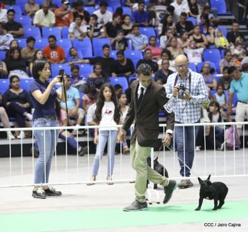 Exposición Canina Internacional de la ABKC en Nicaragua