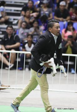 Exposición Canina Internacional de la ABKC en Nicaragua