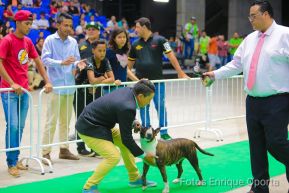 Exposición Canina Internacional de la ABKC en Nicaragua