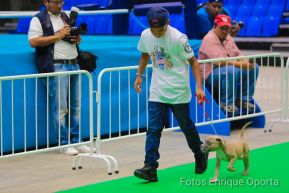Exposición Canina Internacional de la ABKC en Nicaragua