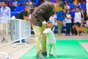 Exposición Canina Internacional de la ABKC en Nicaragua