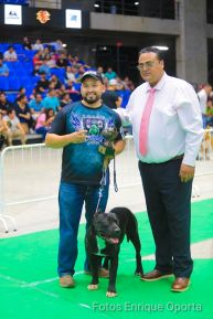 Exposición Canina Internacional de la ABKC en Nicaragua