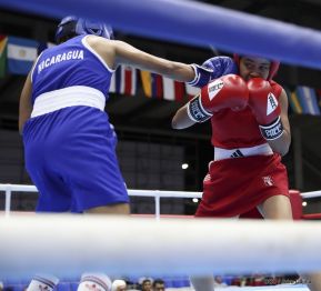 Pre-Panamericano de boxeo olímpico en el polideportivo Alexis Argüello