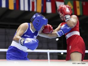 Pre-Panamericano de boxeo olímpico en el polideportivo Alexis Argüello