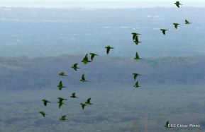 Venga a disfrutar en familia en el Parque Nacional Volcán Masaya