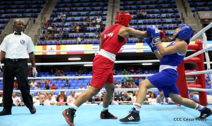 Jornada del domingo del Pre-Panamericano de Boxeo