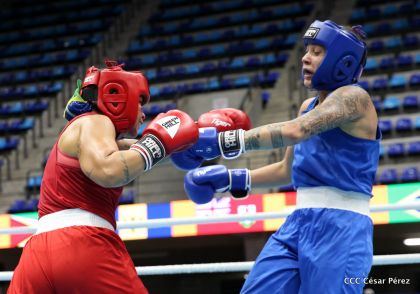 Jornada del domingo del Pre-Panamericano de Boxeo