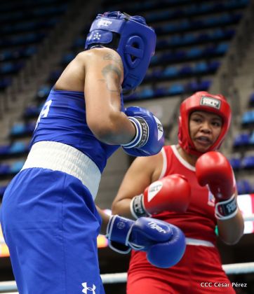 Jornada del domingo del Pre-Panamericano de Boxeo