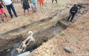 Primer Ejercicio Nacional Multiamenazas para la Protección de la Vida