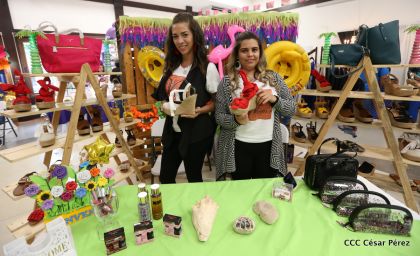 ¡Hola Verano, aquí está el Flamingo Fest 2019!