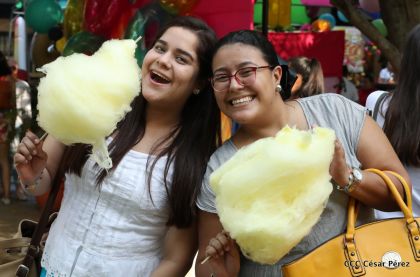 ¡Hola Verano, aquí está el Flamingo Fest 2019!